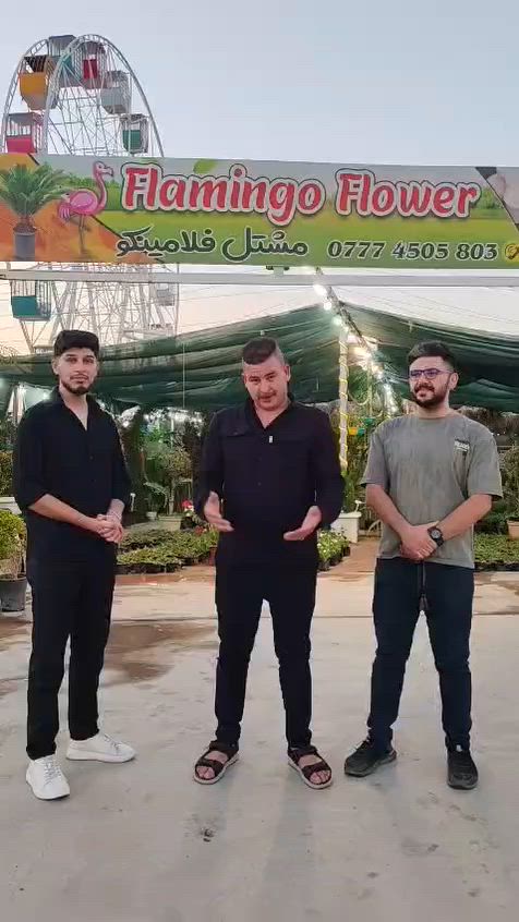 حملتنا صارت اكبر بفضل جهودكم حلوة
رجائا ادعمونا ب لايك ومشاركة


**إذا كنت صاحب هذا الإعلان وتريد حذفه لأي سبب، رجاءا أرسل رسالة إلى الدعم الفني**