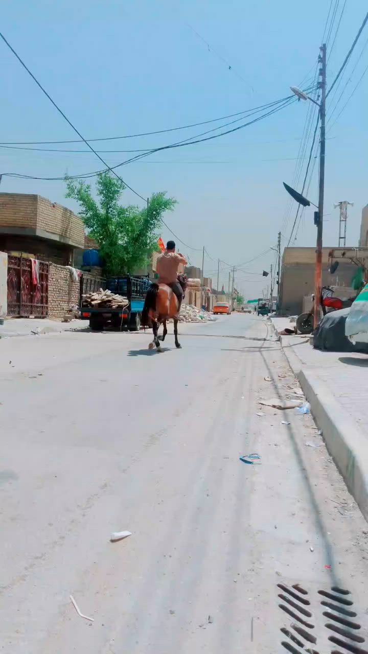 فرس عربيه عشره 7شهر مكاني بغداد بسعر مناسب ***********

