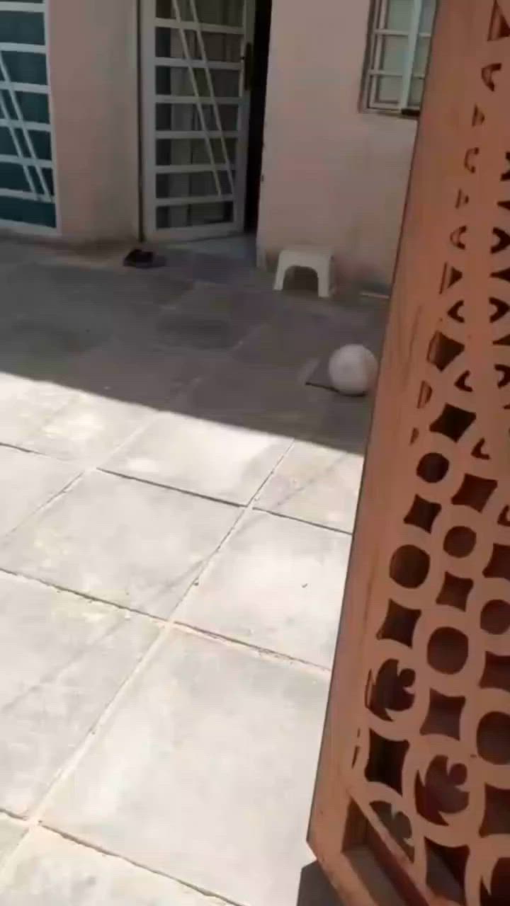 بيت البيع مساحه140 بشارع معمل بيت جدا نضيف فقط شراي يراسل على الخاص


**إذا كنت صاحب هذا الإعلان وتريد حذفه لأي سبب، رجاءا أرسل رسالة إلى الدعم الفني**