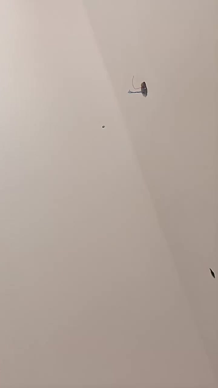 كادر جص بورك لبخ شغل درجه اولى وسرعه بالعمل ةاسعار مناسبه داخل الطارميه
للاستفسار مراسله الصفحه او الاتصال ***********
واتساب***********
