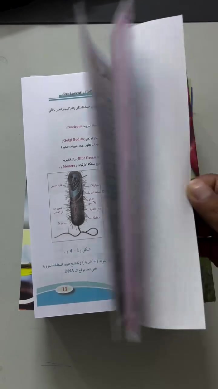 طلابنا الاعزاء 💪 / اولياء الامور الكرام 🤍🌼
مناهكم صارت جاهزة عند مطبعة ينابيع العلم 

توصيل مجاني داخل الشعلة والمناطق المجاورة 

واتساب🛑 ***********
