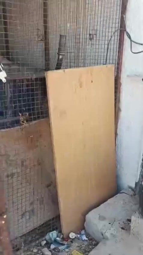 متاح قفص حديد مقلف كامل يرهم لكلشي نضيف كما واضح بتصوير العنوان تكريت 
***********

