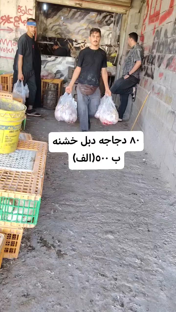 علاء نشأت عمران 
سعر الكيلو 2750
10 دجاجات خشن 55 
10دجاجات خشن ب60
10دبل ب65 
80دجاجه ب500الف
ذبح وتنظيف مجاني مجاني 
مستعدون لتجهيز كافه المناسبات والمطاعم باسعار مناسبة وتوجد عروض خاص للمناسبات *********** ***********
#بغداد #اليوسفية
#المحموديه_مدينتي
#لسناالوحيدون ولكننا الأفضل
