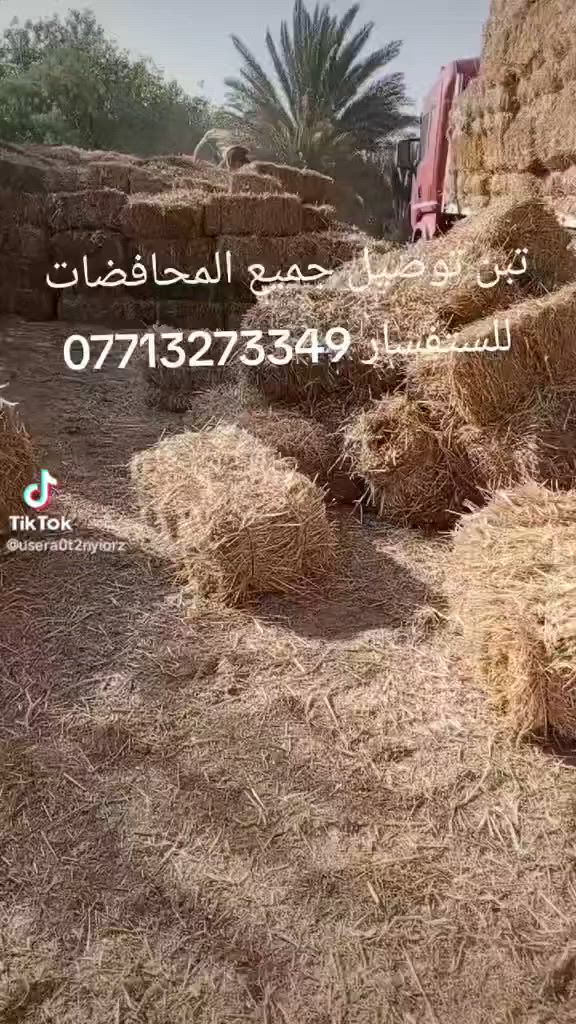 تبن للبيع توصيل جميع المحافضات
***********
