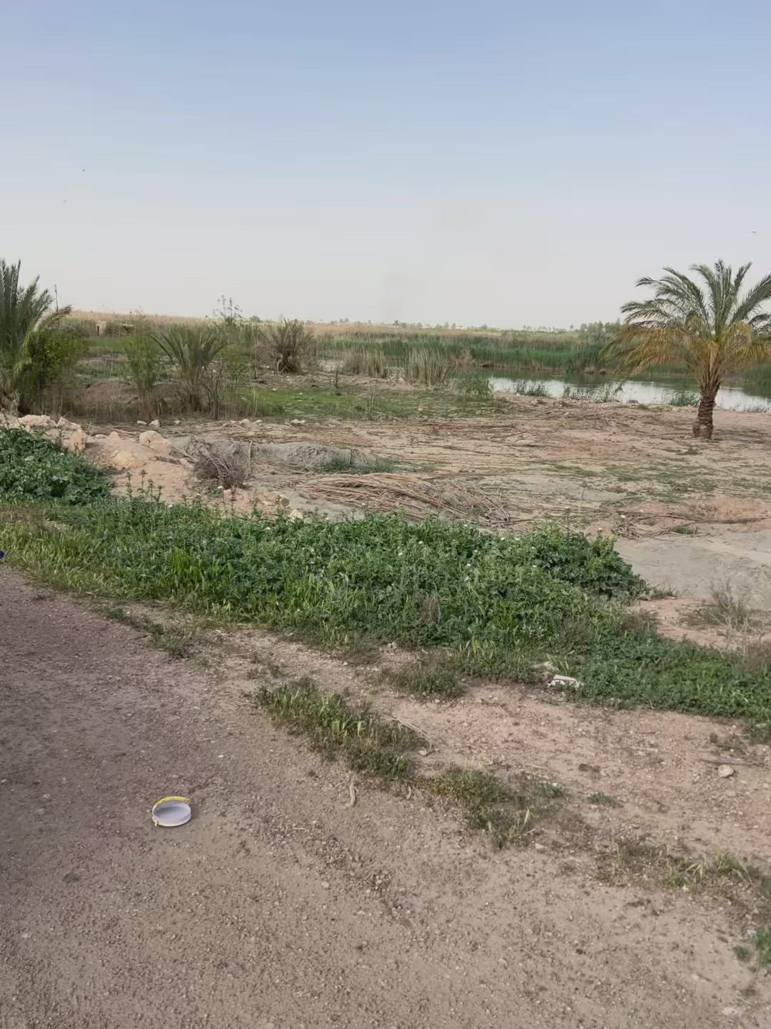 قطعه ارض زراعيه ع نهر الفرات طابو زراعي 
مساحه 1500 متر 
السعر 250 مليون 
للاستفسار ***********
