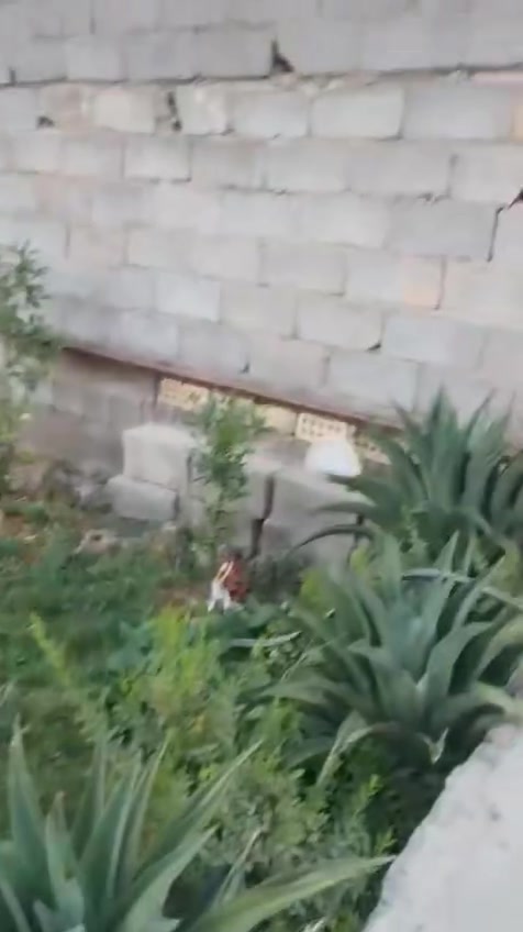 بيت ٢٠٠ متر طابو صرف للبيع رقم القطعة ٢٦١١ للاستفسار على الرقم ***********
