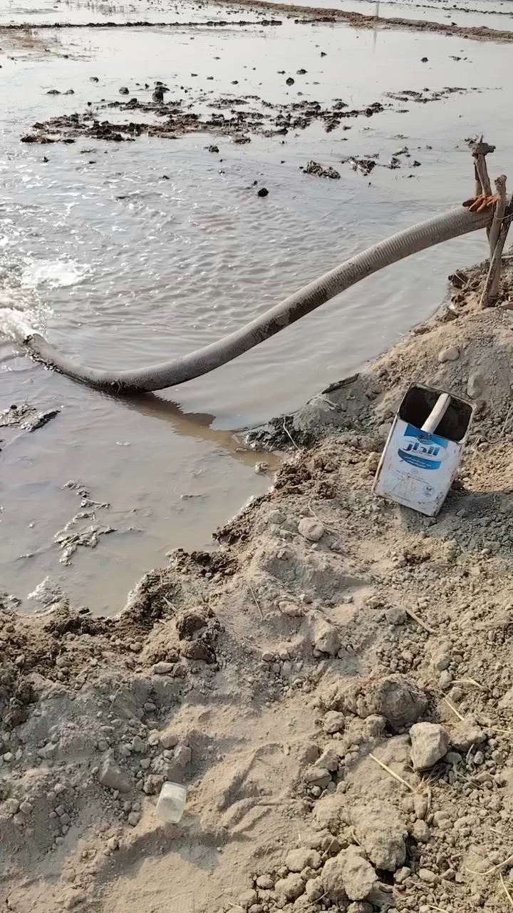 السلام عليكم مطور البيع خمسه حصان خنزير جديد وصونده ومذب كامل سعره ٣٥٠ وبي مجال ***********
