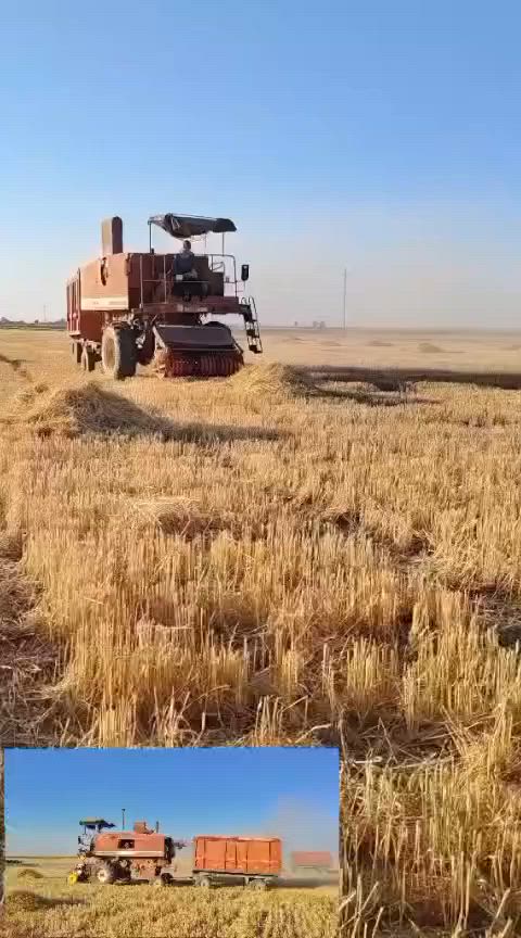 ‏لافيردا محوره تبانه للبيع وحدها بدون العرباين المكان كركوك للاستفسار الاتصال ***********
