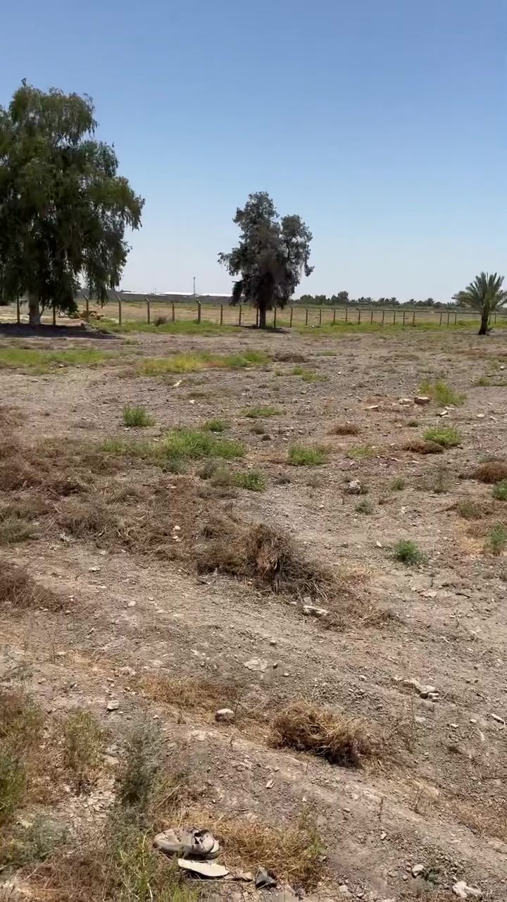٤ دوانم ااشيحه قرب مزارع طيبه تصلح مزارع شاليهات مخازن تباع دونم فما فوق للاستفسار
***********
