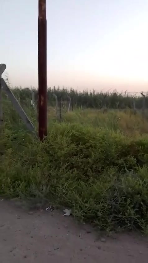 سلام عليكم قطعه 100هور رجب. شارع رئيسي. 4دقايق عن دولي مرتبه صايره زنجيل مسيجه.  قطعه باسمي.   وموجود ابو كاع الرئيسي   ***********
