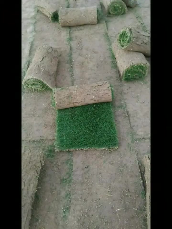 مرحبآ بكم في مجموعه مزارع ديالى لثيل الهندي الطبيعي 🌿🌱
نقدم لكم افضل انوع الثيل الطبيعي عالي الجوده يتحمل كافه الظروف البيئية.🌦️🌞
دائم الخضرة🌿🌳 وباسعار تنافسيه وعروض مميزة ☘️❤️
#مستعدون لتجهيز وفرش الحدائق🏡 ودوائر الدولة🏡والمنازل🏡🏡
و تجهيز الملاعب🏟️ والمنتزهات بانسب الاسعار مع #ضمان الجودة العالية في العمل👷👷

مع خدمة التوصيل خلال24ساعه🚛🚛
 
 التواصل مع الصفحة عن طريق ارسال رسالة  او الاتصال

***********اتصال
***********واتساب #بغداد #بصرة #عمارة #ناصرية #سماوة #نجف #ديالى #ديوانية #بابل #كركوك #صلاح الدين #موصل #سليمانية #اربيل #دهوك #الانبار
