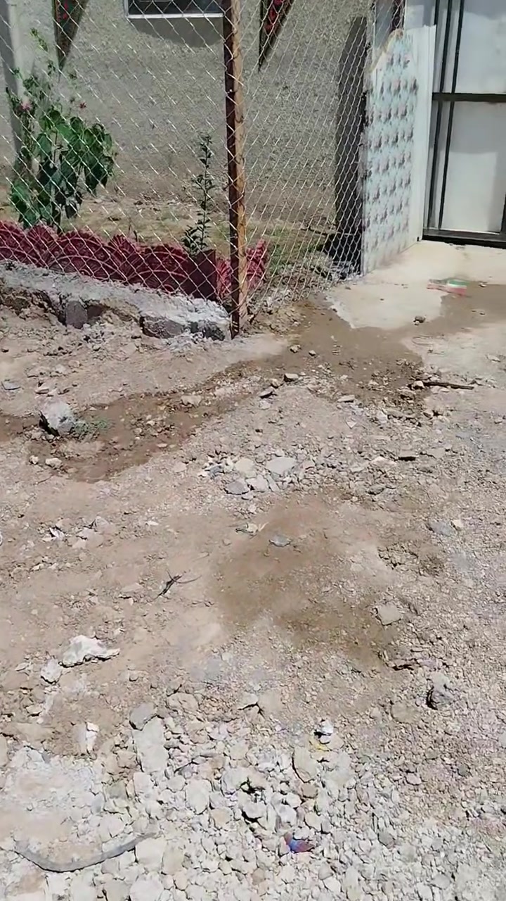 يوجد دار سكن في بغداد /البلديات /حي الزهراء/الاستكشافات النفطيه سابقا عشوائيات المساحه 170متر مكون من طابقين /التفاصيل
الطابق الارضي مكون من كراج كبير وصحيات مشتركه +استقبال يباع مع محتوياته.تخم قنفات حديث مع ميز بلازمه حديث مع سبلت عمودي جديد مع طبلات عدد 7 مع مكتبه+مطبخ يحتوي على كاونتر كبير طابقين وغسلاتة اوانئ معروضات ضمن البيع+صاله صغيره+غرفتين واحده تحتاج إلى ترميم مثل صبغ+صحيات داخليه +درج حديث الانشاء .
الطابق الثاني..غرفه+صاله+مخزن صغير+ساحه مسقفه .
الدار ركن متوفره فيها الخدمات كافه انتر نيت+مجاري +خطين ماء+أما التبليط أن شاء الله قريب مرصوده المبالغ وعن قريب .
الدار ركن على شارع رئيسي وفرعي تبعد عن منطقة الحبيبيه 600متر تقريبا
الاستفسار الاتصال على الرقم ***********
ملاحظه/ اتعهدومكاتبه خارجيه فقط عن المطالبات العشائريه 
السعر خاص او عند المشاهده
يوجد دار سكن في بغداد /البلديات /حي الزهراء/الاستكشافات النفطيه سابقا عشوائيات المساحه 170متر مكون من طابقين /التفاصيل / أو مراوس
