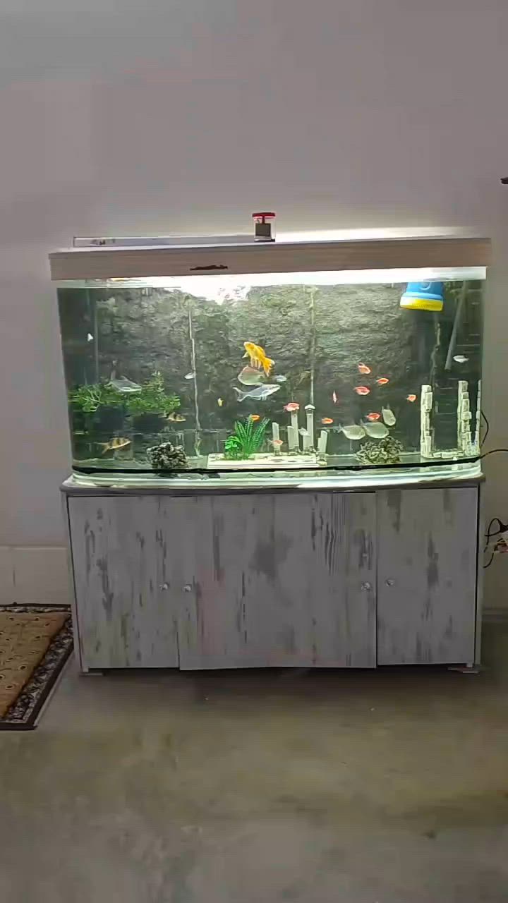 🐠 حوض سمك زينة مميز للبيع 🐠
​حوض سمك زينة متكامل بحجم كبير ومظهر رائع، جاهز وشغال بالكامل بدون أي نواقص.
​📐 القياسات:
​الطول: 1.5 متر (متر ونص)
​العرض: 1 متر
​✨ المميزات والديكور:
​ديكور داخلي كامل: خلفية صخرية (3D)، مجسمات أثرية، ونباتات زينة.
​منظومة متكاملة: إضاءة LED ممتدة، فلتر، ومضخة أوكسجين.
​مجموعة أسماك متنوعة: تشكيلة رائعة ونشطة من أسماك الزينة المميزة.
​⚠️ للاستفسار عن السعر اتصال *********** او مراسله اصفحه @
