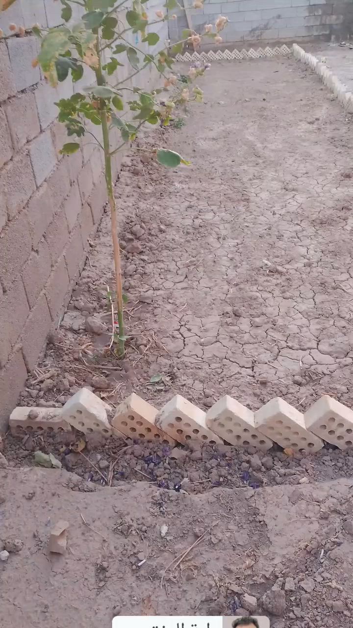 بيت للبيع قيد الانشاء مساحه 250 حي الزهراء خدمات ماء وكهرباء مدارس تبعد 200متر  عرض الشارع 10م باقي التفاصيل الاتصال على الرقم ***********
