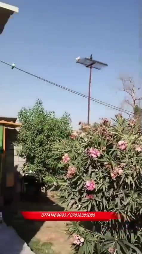سلام عليكم من رخصة الادمن بيت مساحة 620 متر زراعي الموقع جسر ديالى منطقة العريفية للاستفسار اتصل *********** /***********
