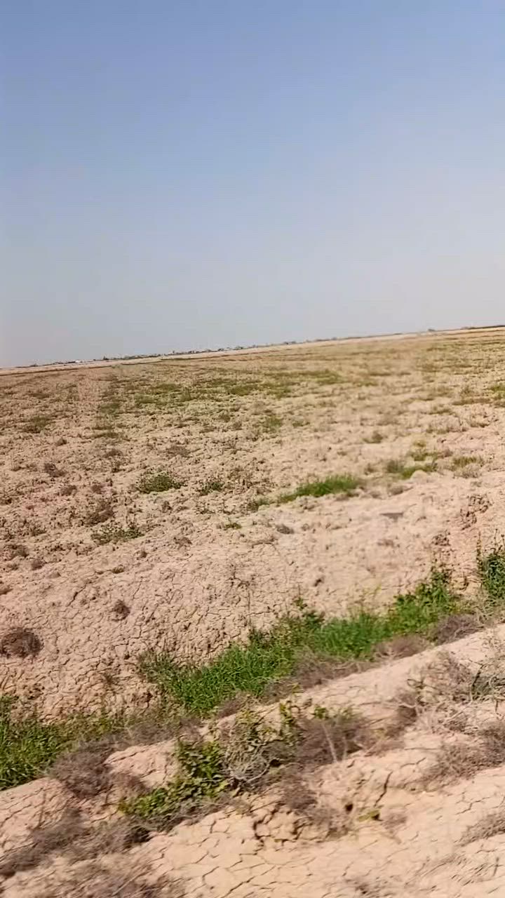 السلام عليكم ورحمة الله 

يوجد أرض طابو  زراعي (200 دونم) حق التصرف

واسط الحفرية قرب تاج الدين 

الاستفسار اكثر مراجعه مكتب عمار احمد 

العنوان واسط العزيزيه شارع الخليج مجاور علي الماس 

*********** /***********
