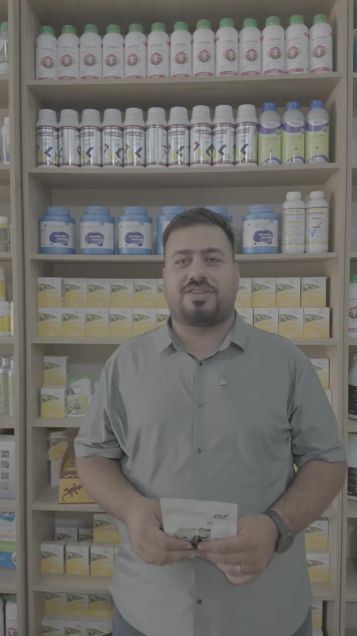 توفر العملاق
سارع بالحجز 
***********
***********

#باذنجان_دارك_نايت #زراعة_محمية #بيوت_محمية #باذنجان #محاصيل_زراعية #المزارع_الذكي #استشارات_زراعية #بذور_زراعية #إنتاج_زراعي #تسويق_زراعي #DarkKnight
