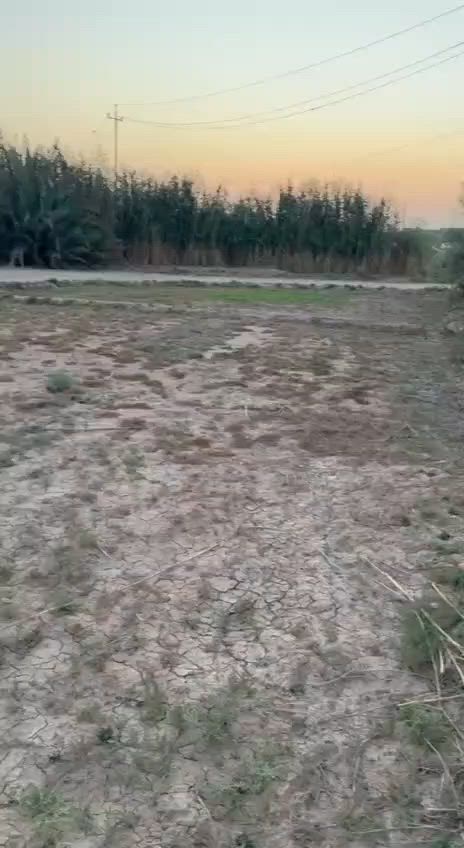 سلام عليكم بيت  للبيع عقد زراعي 35 كوت نهاية  السفحه خلف السكلات بيت  سقف عادي مساحة الارض 2دونم يتوفر مي اساله كهرباء ومولد للاستفسار 
***********
***********
