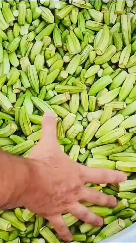 السلام عليكم
🔥 *الحجز مفتوح طيلة أيام شهر محرم وصفر* 🔥  
👨‍🍳 *طباخ نجفي درجة أولى - خبرة ومتخصص*  

✅ كادر طبخ نجفي محترف  
✅ متخصص في التمن والقيمة وجميع الأكلات الشعبية  
✅ نستقبل كافة الكميات الكبيرة والصغيرة  

🎁 *الطبخ مجاني فقط للكميات القليلة* بدون أجور  

📅 *للحجز*: قبل يومين أو 3 أيام من الموعد  
📱 *واتساب الطباخ*: ***********  

#طباخ_نجفي #طبخ_محرم #تمن_وقيمة #اكل_شعبي #محرم_1448 #صفر #خدمة_مجانية #النجف #مواكب
