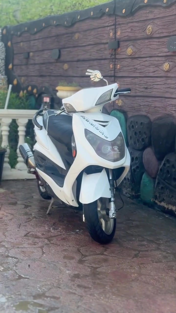 سكنس فحل لبيع دراجه نضيفه وشغاله  خير من الله بيها  غراض رياضي صدر فج يدات بريك كلجات هوزن صالنصه بوري عدل ملاقط شمعه قبق فلاوين سبايدر كطعتين فلنجه￼ مكينه مامفتوح لبكان بغداد ابو غريب ***********لرقب بي واتساب ولسعر خاص🪬
