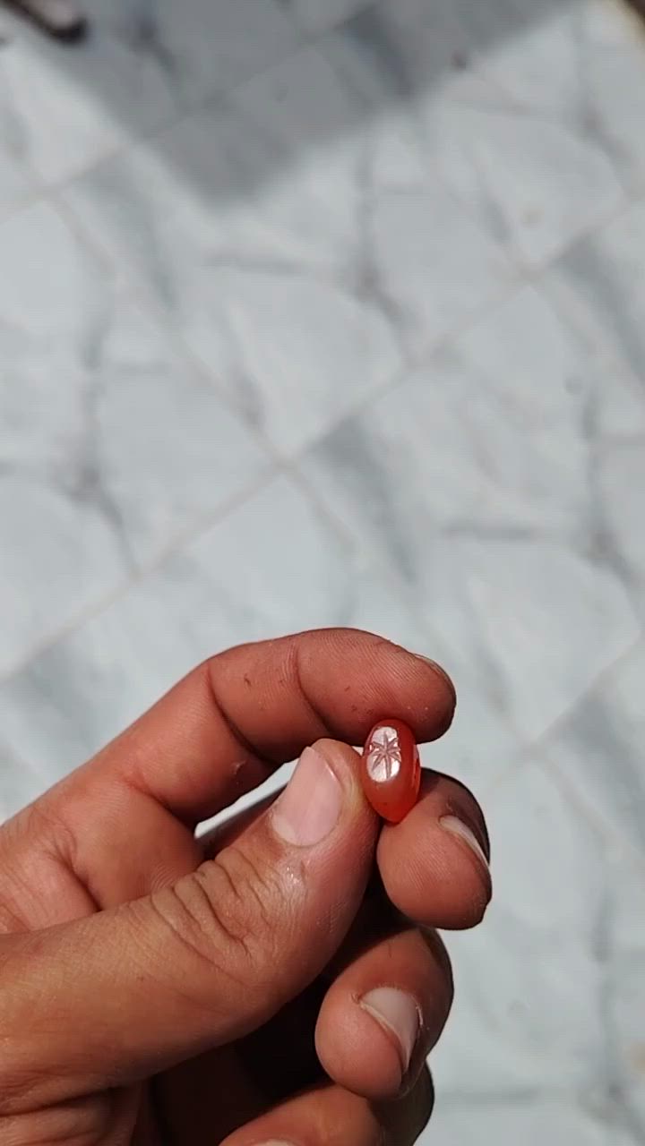 سلام عليكم ذني لكيتهن بمكان اثري للبيع قيم بما يرضي الله و تعال اخذهن


**إذا كنت صاحب هذا الإعلان وتريد حذفه لأي سبب، رجاءا أرسل رسالة إلى الدعم الفني**