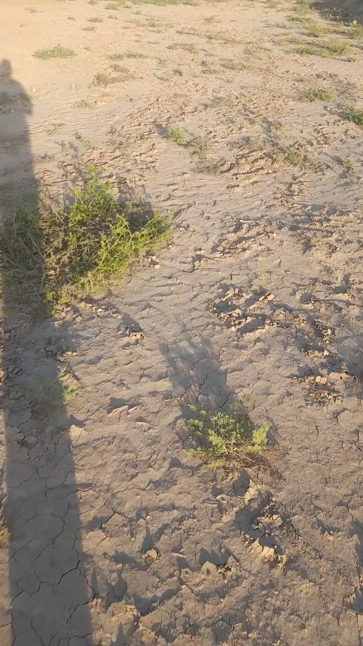 السلام عليكم ارض زراعيه للبيع مساحة ١٢ دونم عقد زراعي ١١٧ وجه عل شارع مباشر ارض تصلح سكن ومشاريع وزراعة مكان الأرض بغداد النهروان ٩نيسان قرية ابا ذر الغفاري وكلشي واضح بل فيديو *********** ***********
