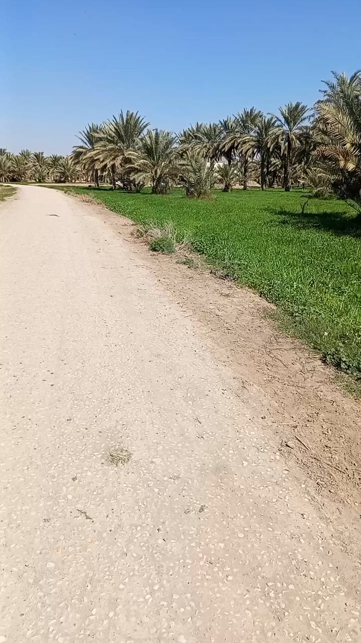 سلام عليكم باسكل للبيع شراي يجي خاص مكاني الهاشميه القريه العصريه بسكل قبل 4شهر خذيته كلش نضيف ***********هاذه رقمي
