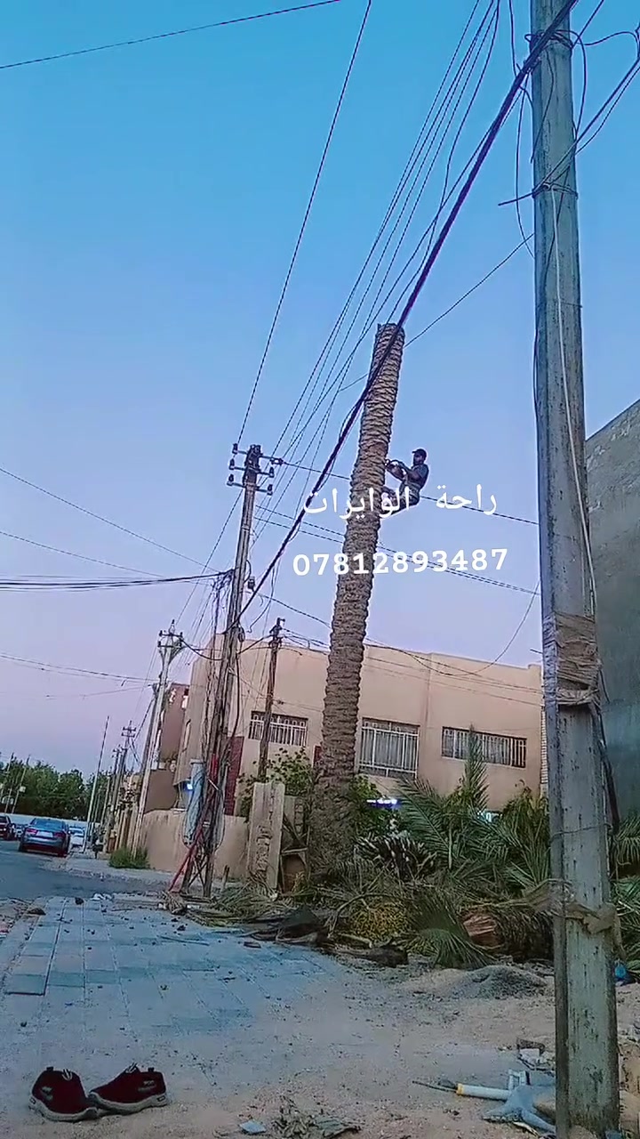 عندك نخله تريد تقلعه اتصال 
***********
