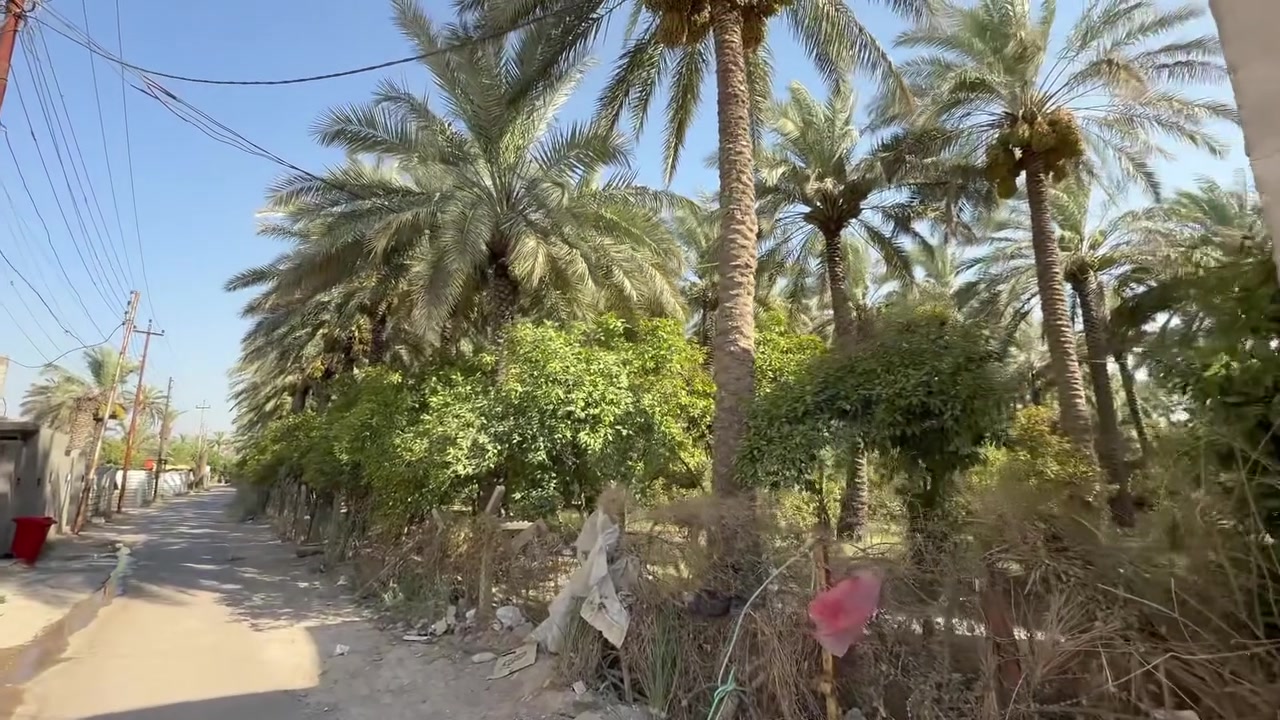 بيت للبيع بالعدل الثانية
بناء ٢٠٢٣ مساحة ١٠٨ طابقين مفصول استثمار قرار ١١٧ للسعر والاستفسار التواصل على رقم الهاتف ***********
