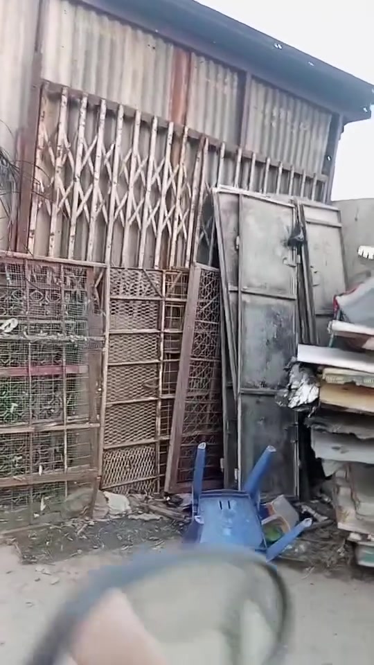 سلام عليكم متاح سندويج أطوال  9 أمتار و6امتار عدد هواي نضيفات بيهن وحده مشروكة بس وباقي نضيفات وبينهن طول ٧ وطول كله تركي اريهان ابو نحلة ٥ أبيع شلع او قطعة وياهن اكو بوراي شخاطة بي ثقيل وسط هم وياهن وباب كلدور ارتفاع ٣ عرض متر وعشره طلاقتين وباب سلايت مال شارع طلاكة صغيره وطلاكة جبيره طول ٣ أمتار وبيبان مطبخ وياهن وبيبان سطح  هواي وباب ٨ دفتري موجود الثقيل وباب ٦ طلابات موجودغراض يفيدن ابو سكلة سعرهن مناسب مكاني بغداد شعلة  شلع أبيع بسعر مناسب او مفرد شنو تريد موجود هاذ رقمي اتصل وتددل واتساب ***********رصيد هاذ***********الاثير الاسيا ***********
