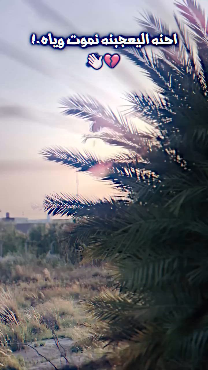 سلام عليكم نامه شلامجه تعمير ٢٥شاصي ٢٢ للبيع كفاله عامه ‭***********‬ اوراقق اصولي
