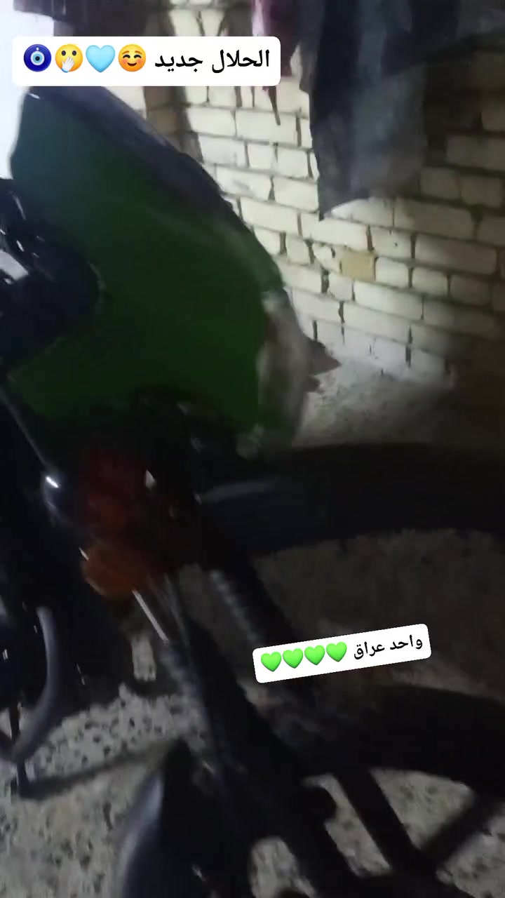 للبيع دراجه ديون جبلي زيرو وراق سكنر ورقة السكنر ضايعه زيرو ضله بل بيت مديل 25مكفوله كفاله عامه سعر 1600قفل1400العنوان بغداد مدينه الصدر رقم ***********وتساب فقط  ملحضات ورقه سكنر ذا لكيته خبرك تجي تاخذه خادم
