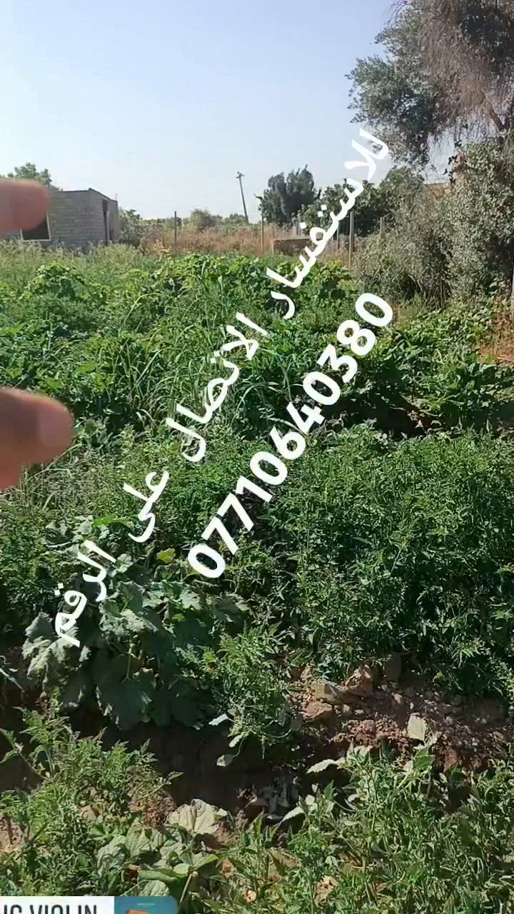 السلام عليكم 
دونم وربع طابو زراعي 25 📈
موقع مميز سياحي 🏞️

الموقع : تكريت العلم على السدة نصب مقابل جامعة تكريت 
الجبهة ٢٨ متر والنزال ١٠٠ متر 
المساحة الكلية 3000 متر 
للاستفسار الاتصال على الرقم 👇🏻 
***********📱
@إشارة
