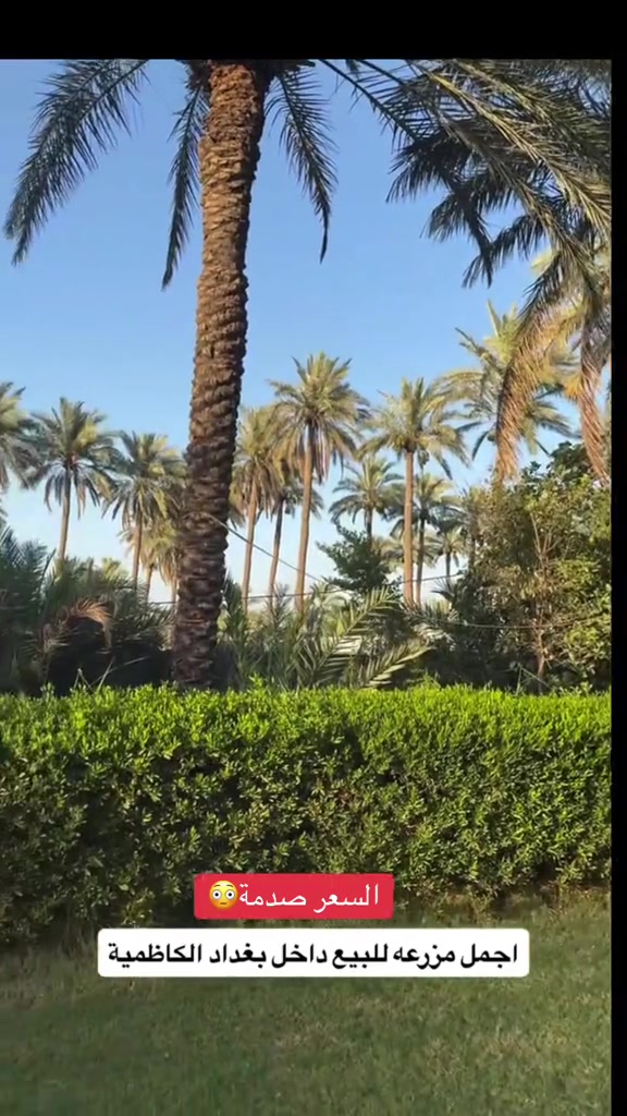 مزرعه للبيع بغداد الكاظمية للاستفسار ***********
