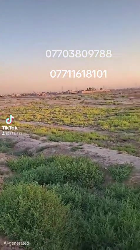 اسلام عليكم دونمين على البزل سعرهن مناسب اتصل وتدلل ***********
