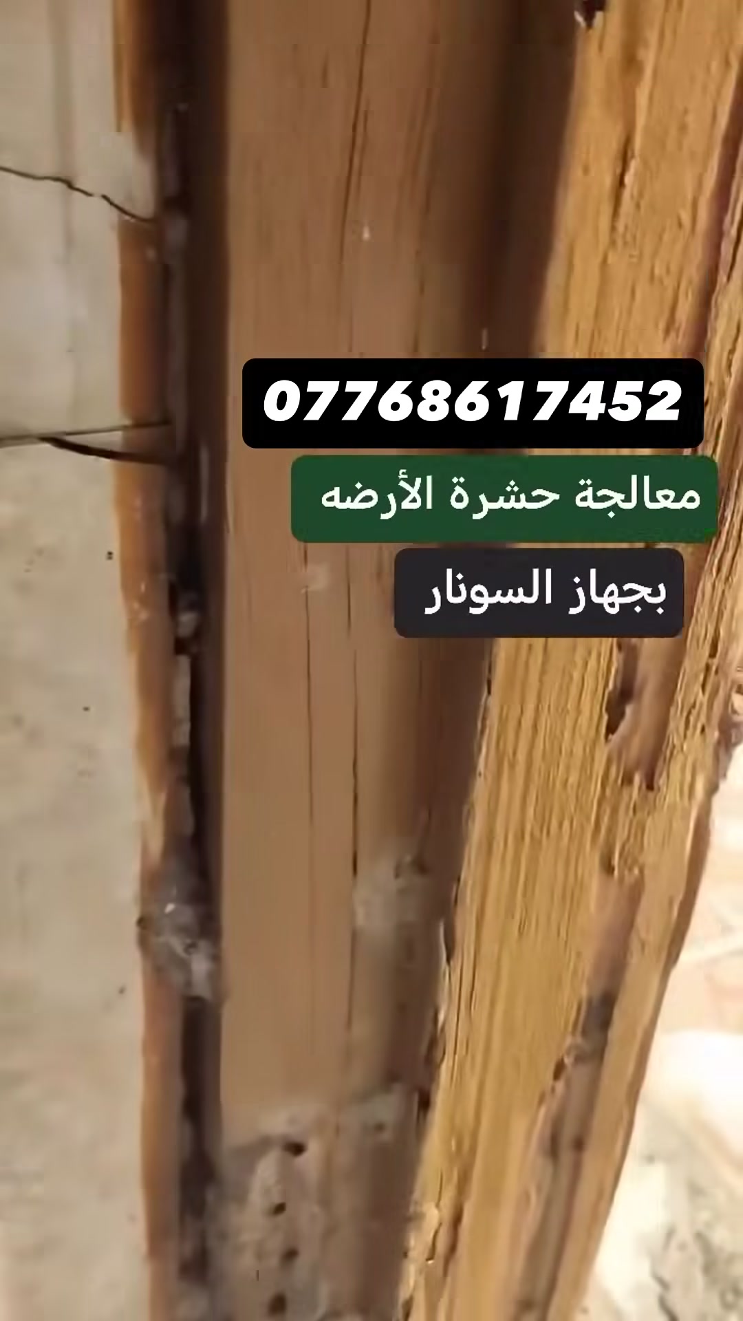 # شركة لانوار لمكافحة حشرة الارضة

✅نقدم لكم افضل الطرق ولحلول المناسبة

للقضاء على حشره الأرضة بشكل نهائي

✅ نستعمل افضل لمبيدات الفايروسية الناقله للعدوى لحشره الأرضة عديمة الرائحة

✅ وقاية من جميع الحشرات

✅ ضمان الأكثر من 5 سنوات حقيقي

📍نعمل في جميع المحافظات 

🔈لاستفسار اكثر الاتصال على الرقم التالي

 

📞***********
