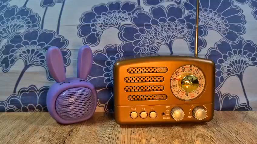 السلام عليكم

راديو 3 موجات fm-am-sw
بحث يدوي وليس دجتال
بلوتوث وفلاش ورام / شحن
الشكل مميز كلاسيكي / سحب وصوت واضح جدا
السعر 20 متوفر توصيل


**إذا كنت صاحب هذا الإعلان وتريد حذفه لأي سبب، رجاءا أرسل رسالة إلى الدعم الفني**