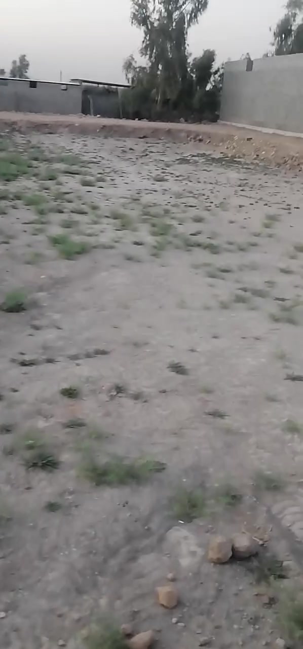 -قطه للبيع المساحة 1050متر طابو زراعي سند 25.. الواجيه 23.. نزال 46.. سنتر ع تبلط كافة الخدمات متوفره.. تصلح سكن او مزرعه او استثمار

-العنوان.. قرب سيطرة العلويه شريفه 

-للأستفسار مراسله الصفحه أو الأتصال علئ الأرقام التاليه: 
***********
***********
