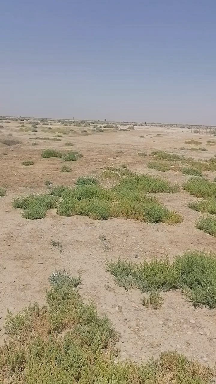 ٤ دووونم وجه على الشارع المؤدي إلى المأمون او قريه ٦ واجهه ٣٠ م قانون ٢٥ تحويل بالأسم( تبعد ٢ كيلو) عن التقاطع (مجاور معمل الكاسات عيون واسط) للإستفسار أكثر مراجعه مكتب القريني للعقار الجمعيه بالقرب من السايدين *********** او ***********
