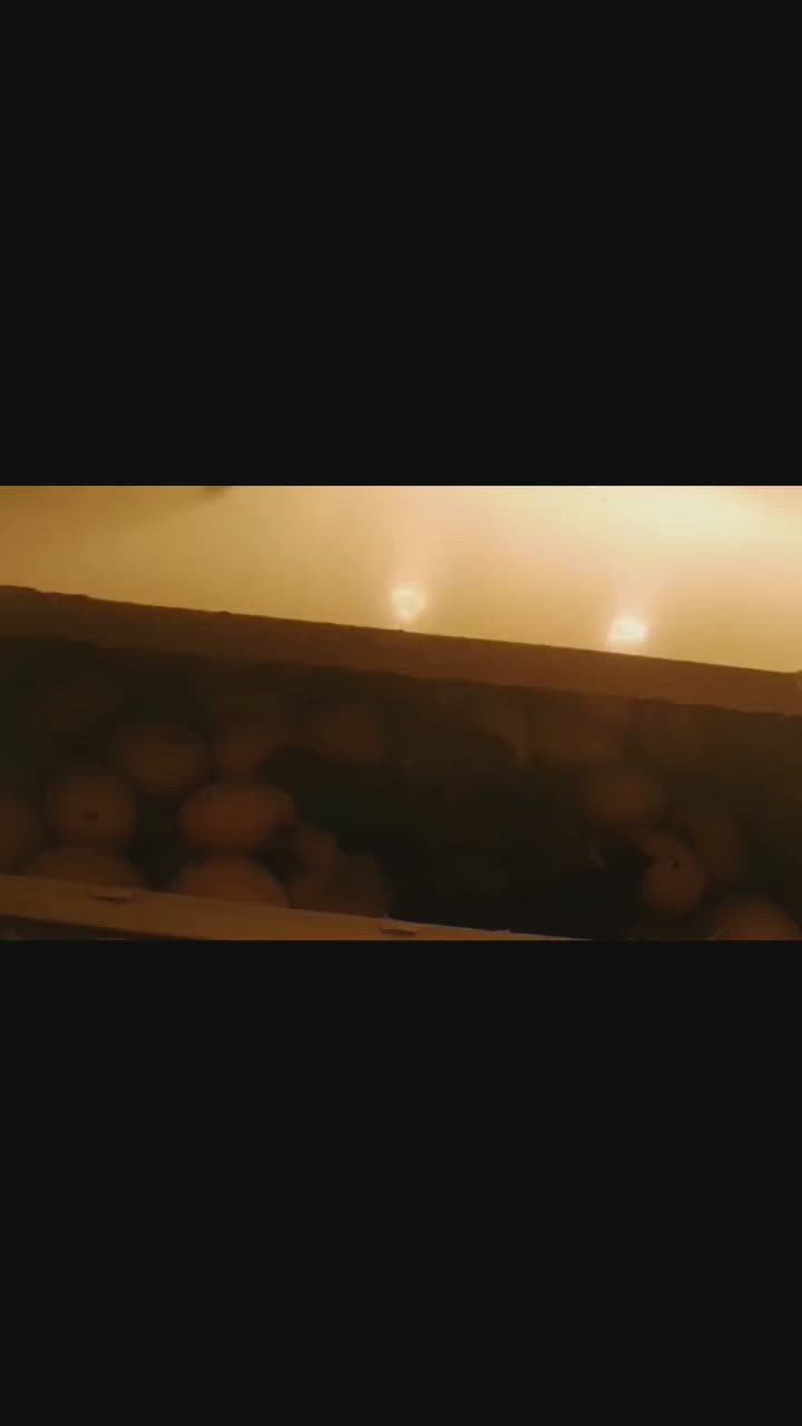 فقاسات للبيع الوحده ب 150 الف وبيهن مجال تفقيس

فول ونظيفات مكاني الفاو الجنوبيه


**إذا كنت صاحب هذا الإعلان وتريد حذفه لأي سبب، رجاءا أرسل رسالة إلى الدعم الفني**
