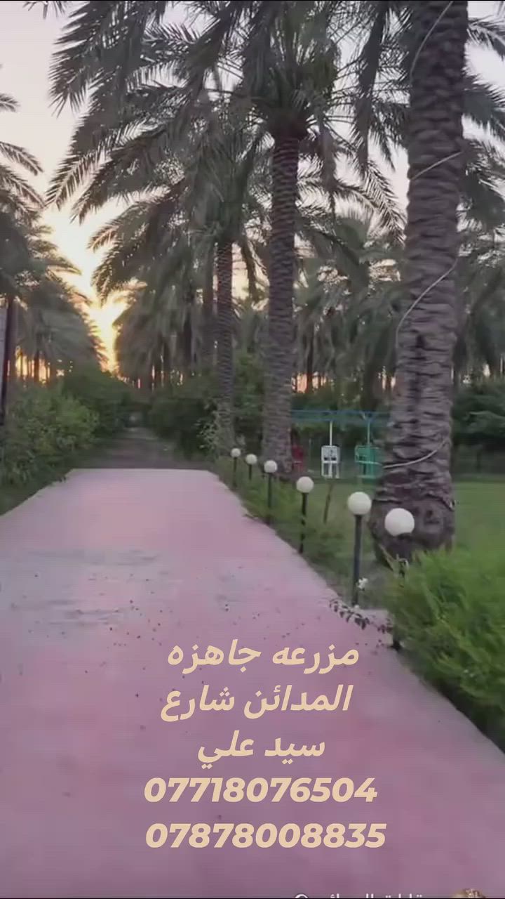 السلام عليكم
يتوفر ٢ دونم طابو سند ٢٥
المدائن شارع سيد علي
***********
***********
 #مزارع  #سلمان_باك #المدائن #غابات_المدائن
