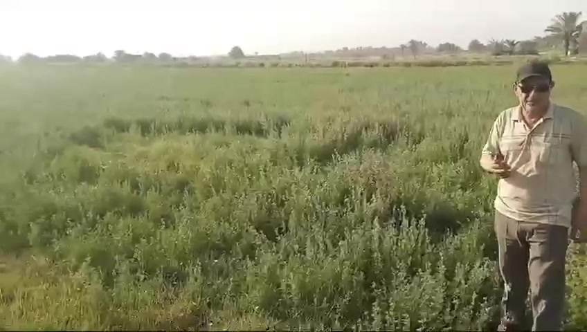 الى كل الاخوه. الذين او عدناهم بالعسل الطبيعي
توفر العسل الطبيعي في الديوانيه
ومعلومات هامه للمستهلك
ديوانيه العروبه الثانيه مقابل المتحف
مناحل الغدير با دارة جواد العيساوي ابو ضرغام@ ***********
