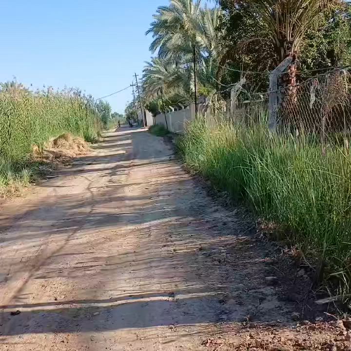 السلام عليكم نصف دونم اللبيع الموقع بغداد الراشديه / طابو زراعي سند 25/ مخدوم بالكامل قريب ع تبليط مسافه 100/ اللاستفسار اكثر ***********
