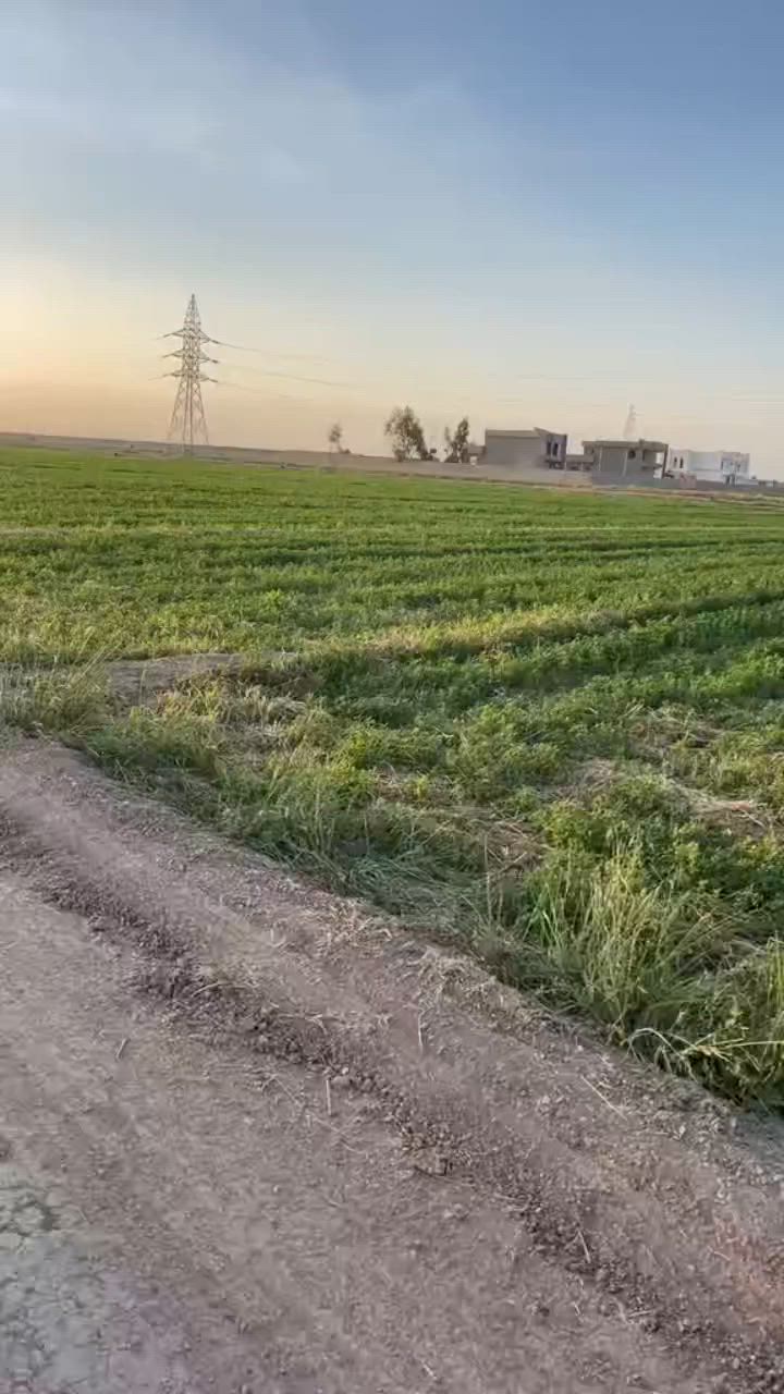 سلام عليكم ارض زراعية للبيع
المساحة ٢٦ دونم 
المكان الانبار قضاء الصكلاويه قرب جسر الياباني
عقد ١١٧ تحويل مباشر 
الكاع مباشر على مشروع بيها ٥٠ قفص اسمك وبيهن اجازه 
بيت مسلح +كرفان 
بيهن اجازه مواشي 

كهرباء متوفره الأرض مزروعه جت


**إذا كنت صاحب هذا الإعلان وتريد حذفه لأي سبب، رجاءا أرسل رسالة إلى الدعم الفني**