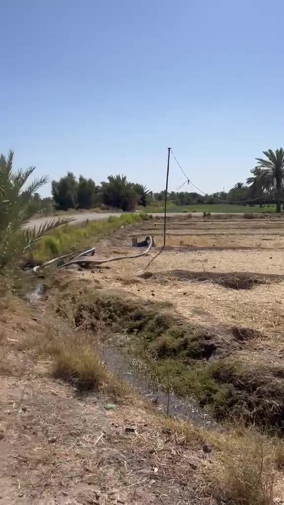 يا الله للبيع مزرعه 4دونم  خدمات كامله مي سقي تبليط صايره ع 3 شوارع بغداد اليوسفية سريع دولي من جهة ابو غريب  جسر 4 للاستفسار اكثر مراجعة مكتب الرضوانيه والتصال ع ***********
