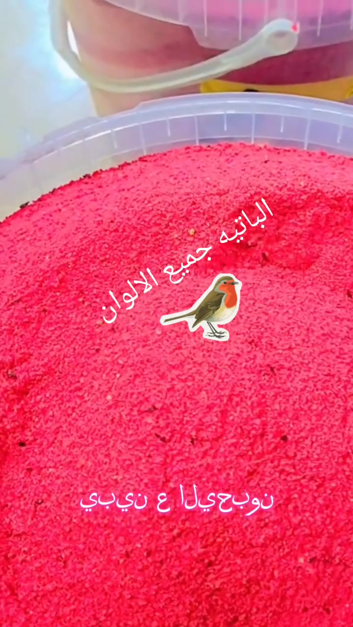 محلات الحسناوي لملتزمات طيور الزينه وباقي الحيوانات الاليفه ديوانيه حي العسكري شارع الوگفه قرب صيدلية البدويه او مقابل الوارث هايبر واتساب *********** @إشارة
