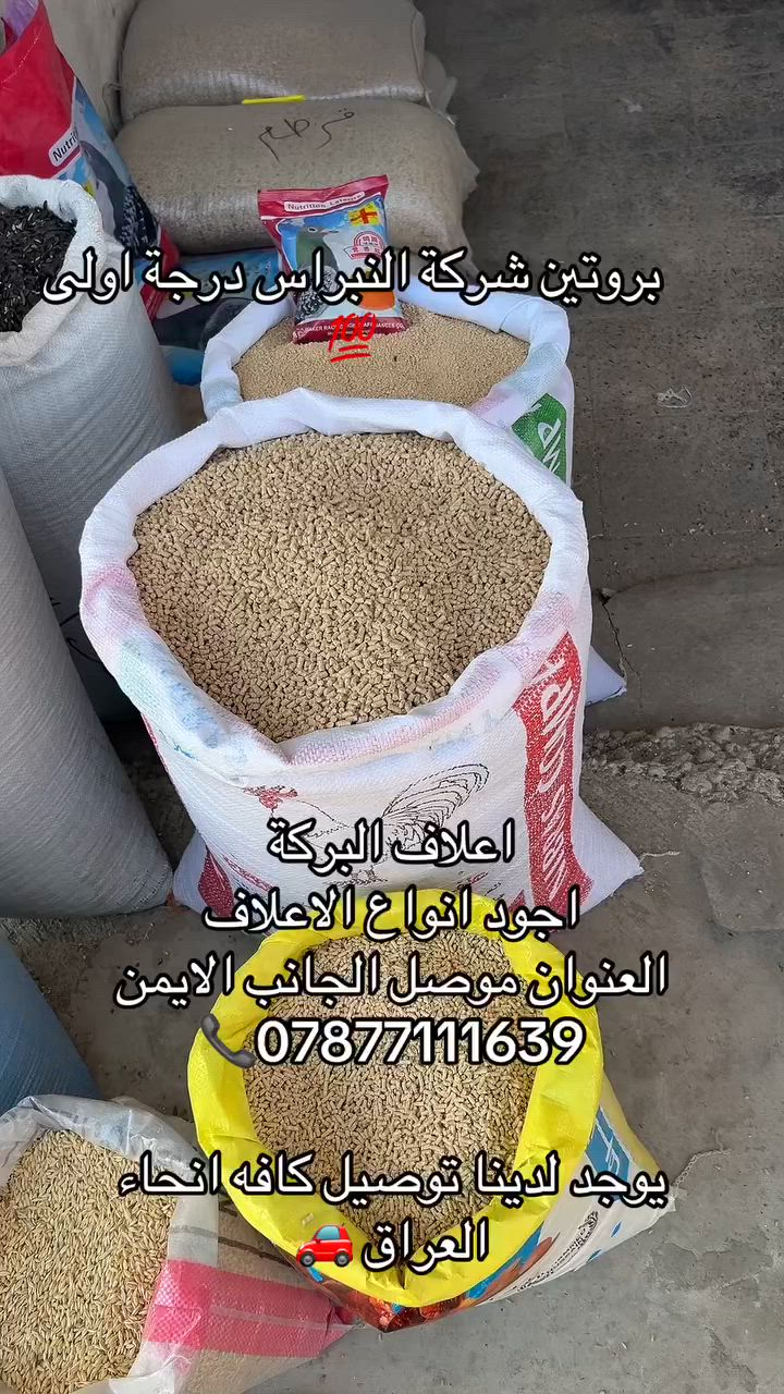اعلاف البركة 
اجود انواع الاعلاف 
العنوان موصل الجانب الايمن 
📞***********

يوجد لدينا توصيل كافه انحاء العراق 🚗 #اعلاف 
#العراق 
#مسلسلات_رمضان
