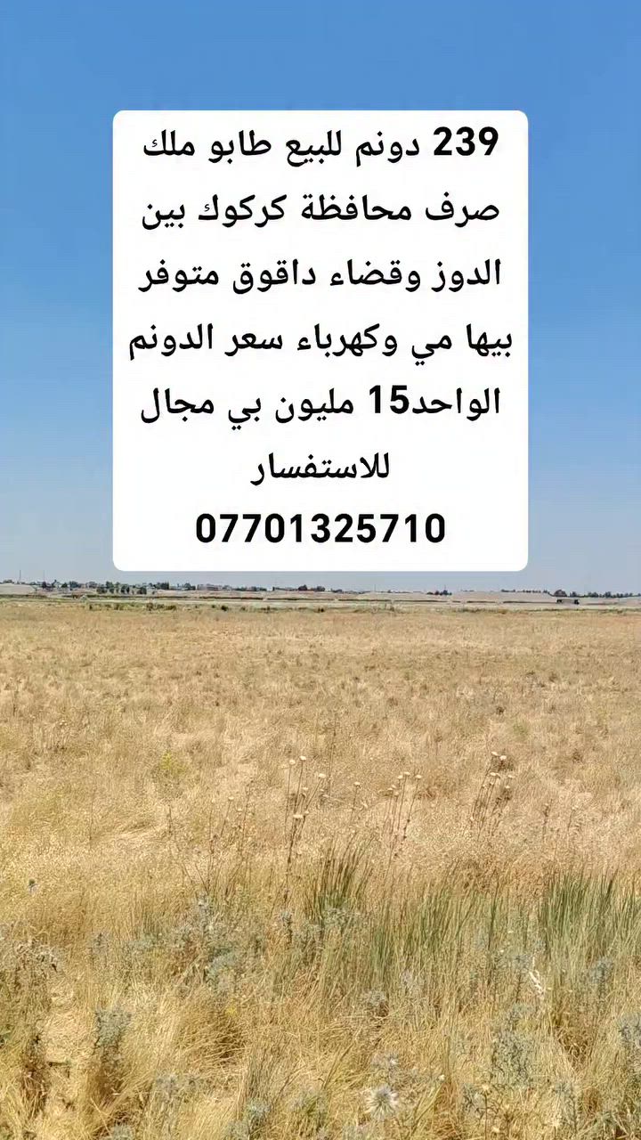 239 دونم للبيع طابو ملك صرف كركوك  بي الدوز وقضاء داقوق سعر الدونم الواحد  15مليون بي مجال للاستفسار
***********
