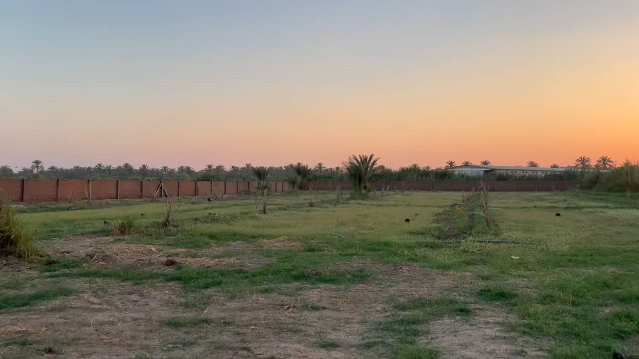 ￼ السلام عليكم  للبيع دونمين 🌴
الوجة 48 ـ النزال￼ 98 ـ أنبيع دونم أو دونمين ـ المكان بغداد الراشدية ـ  ￼ السعر 260
*********** 📞
