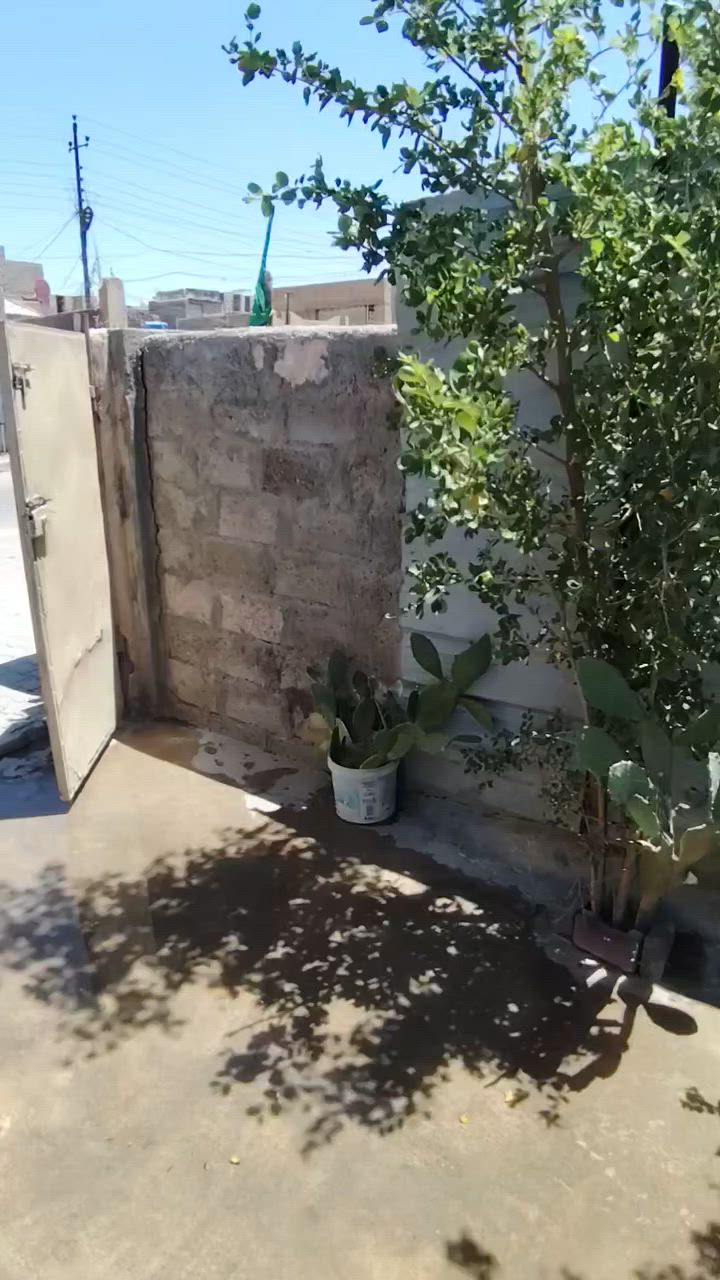 سلام عليكم بيت تجاوز للبيع مساحه 300 متر صب مسلح البيت كله للاستفسار الاتصال على ***********
